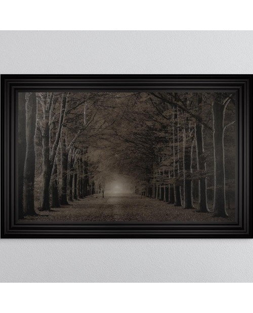 Paveikslas "Woodland Path"