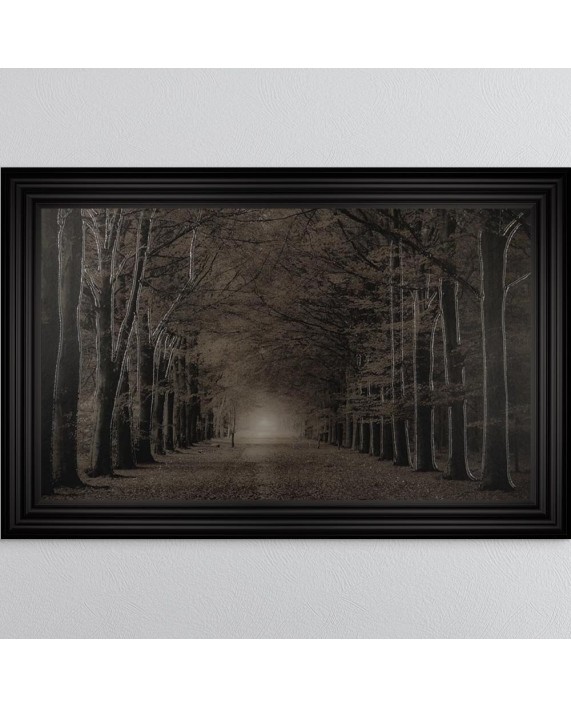 Paveikslas "Woodland Path"