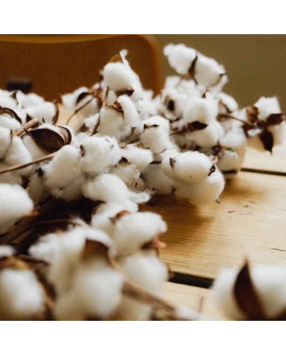 Dirbtinė medvilnės šakelė "Cotton"