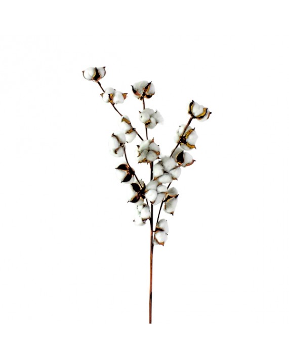 Dirbtinė medvilnės šakelė "Cotton"