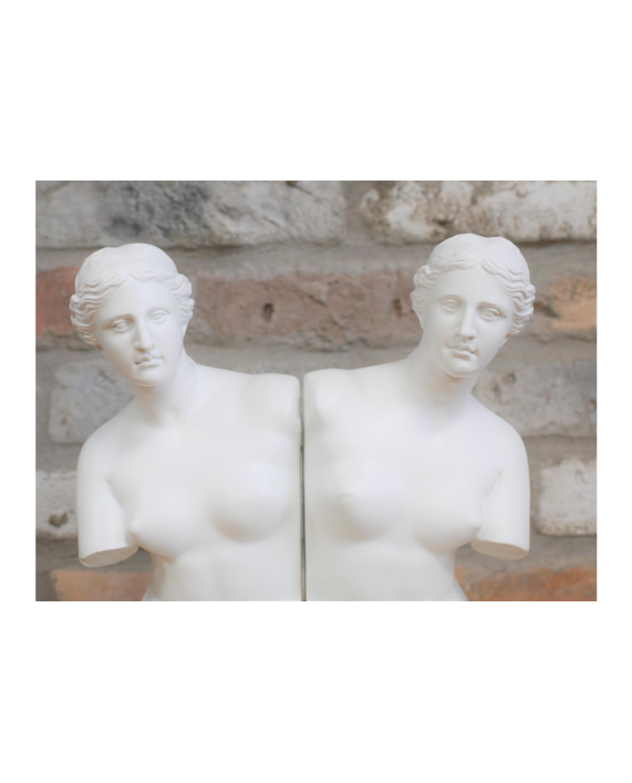 Knygų laikikliai "Venus 2" Knygų laikikliai "Venus 2"