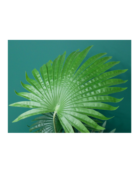 Dirbtinis augalas "Fan Palm"