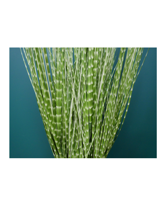 Dirbtinis augalas "Zebra Grass"