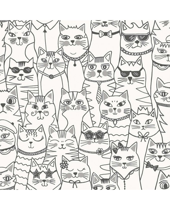 Tapetai "Colour-Me Cats Black & White" 14070