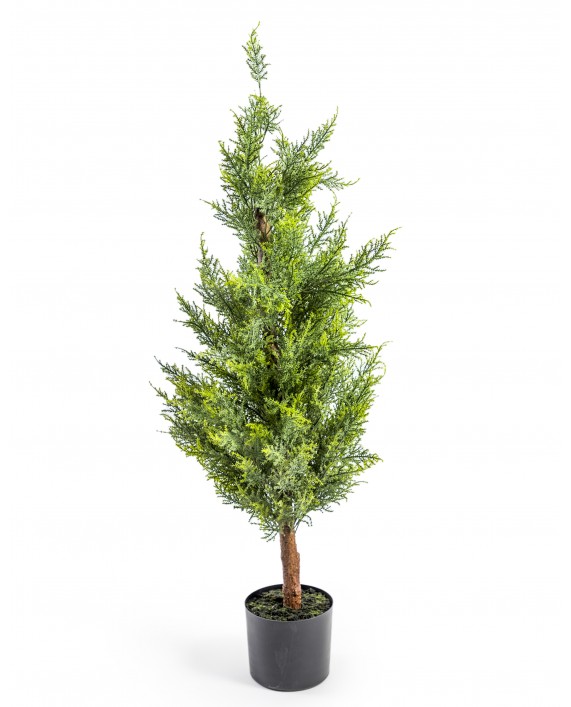Dirbtinis spygliuotis vazonėlyje "CONIFER TREE"