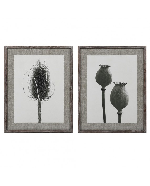 Paveikslų komplektas "Poppy and Teasel" (2 vnt)