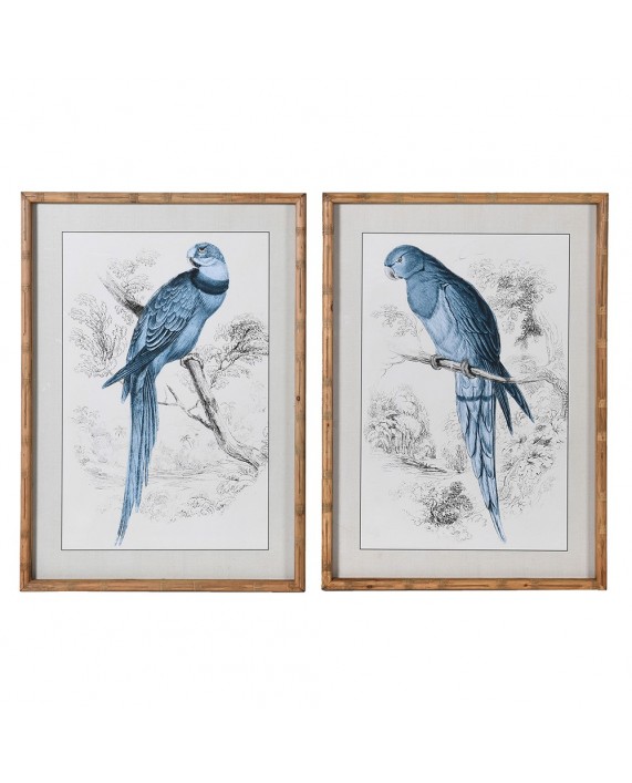 Paveikslų komplektas "Blue Parrot" (2vnt)