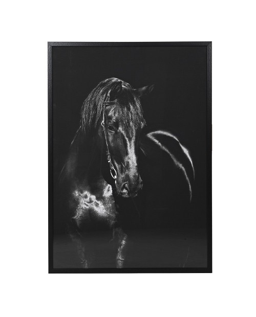 Monochrominis paveikslas "Black Horse"