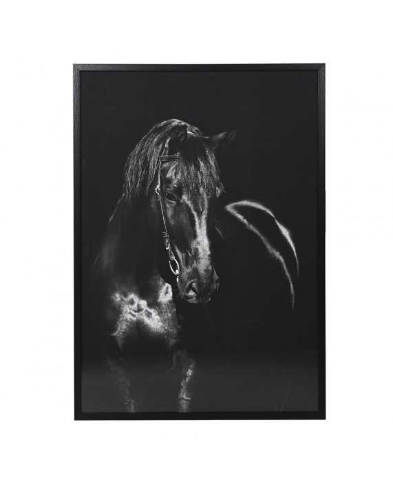 Monochrominis paveikslas "Black Horse"