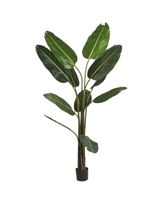 Dirbtinis augalas "Wild Banana Palm Tree"