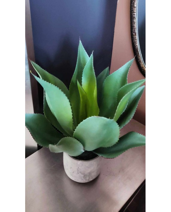 Dirbtinis augalas "Aloe Vera"