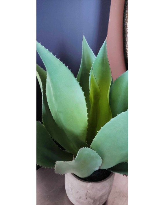Dirbtinis augalas "Aloe Vera"