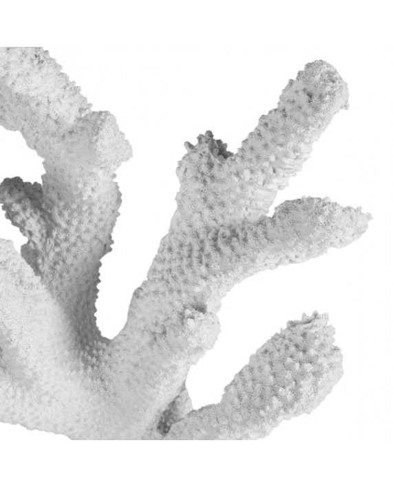 Dekoracija "Coral Reef"