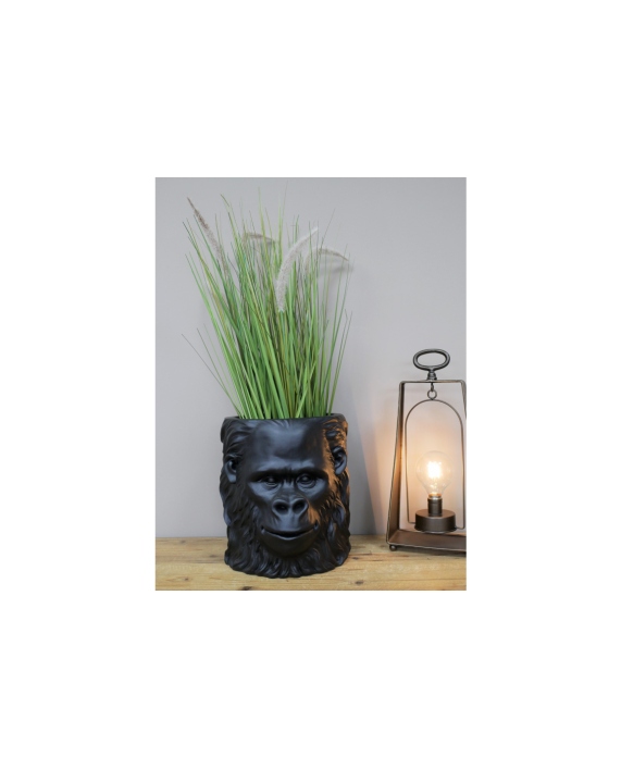 Vazonas "Black Gorila"