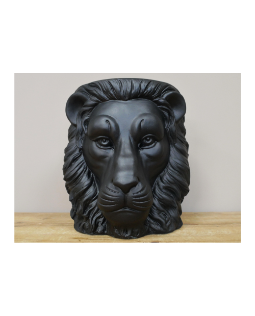 Vazonas "Black Lion"