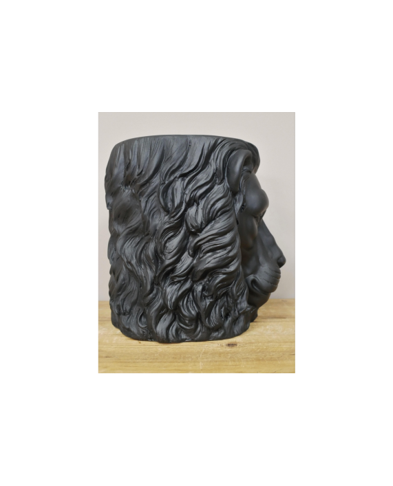 Vazonas "Black Lion"