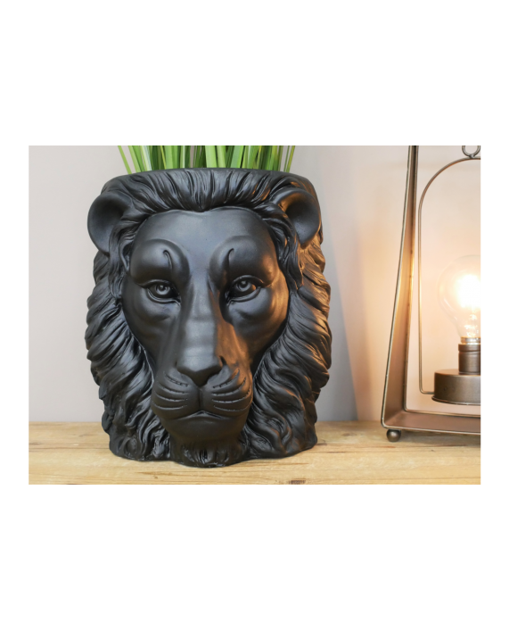 Vazonas "Black Lion"