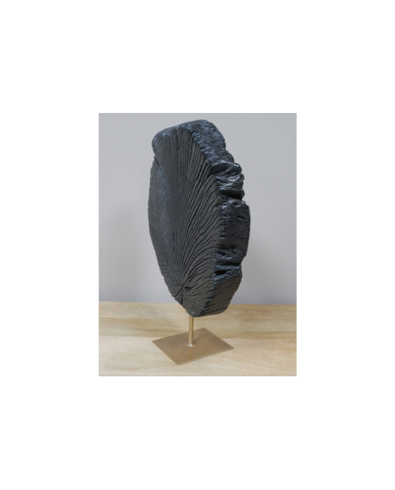 Dekoracija "Black Wood"