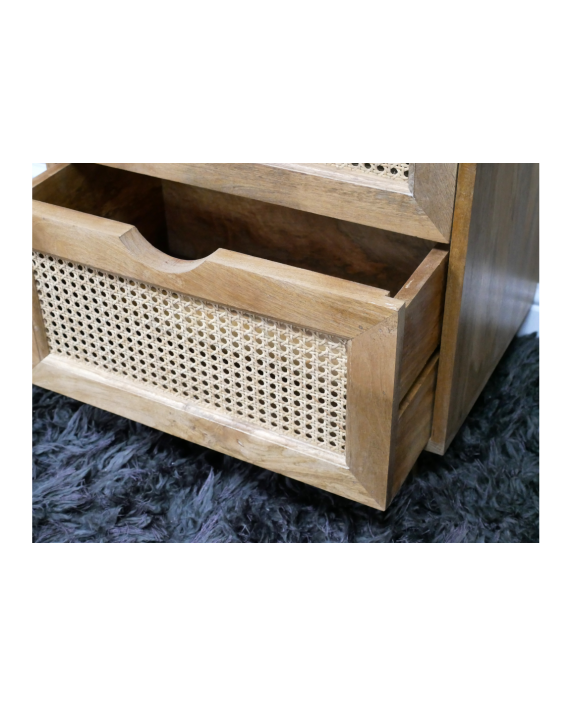Spintelė "Rattanel 2"