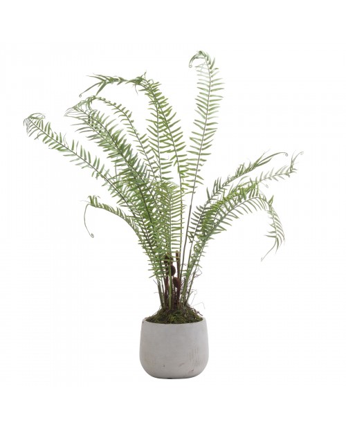 Dirbtinis papartis "Boston Fern"