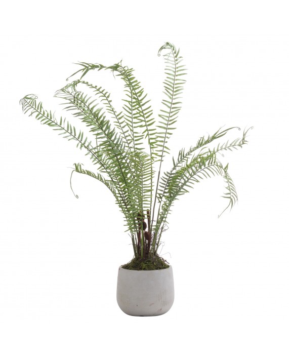 Dirbtinis papartis "Boston Fern"