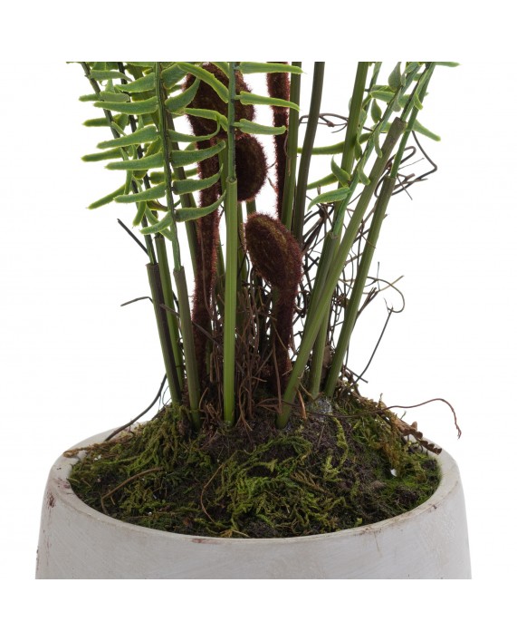 Dirbtinis papartis "Boston Fern"