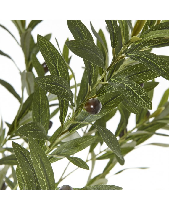 Dirbtinis alyvmedis "Apulia 180"