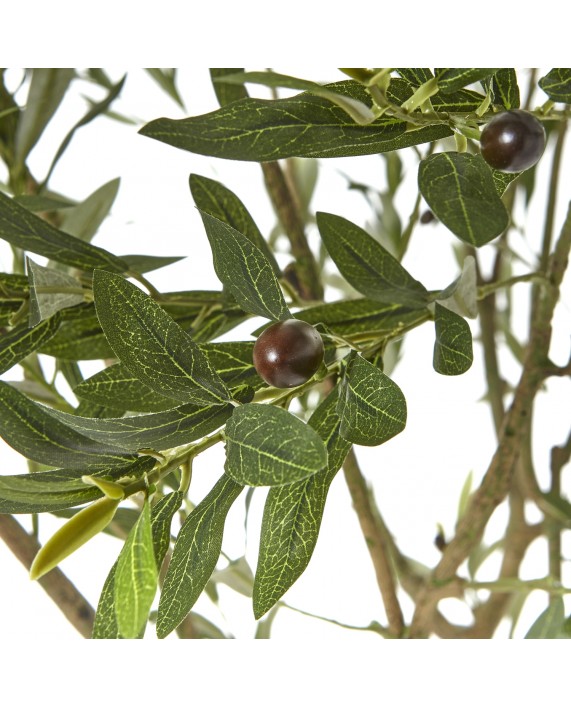 Dirbtinis alyvmedis "Apulia 240"
