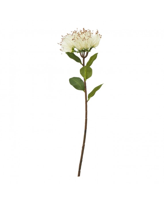 Dirbtinė gėlė "Protea Nitida" Dirbtinė gėlė "Protea Nitida"