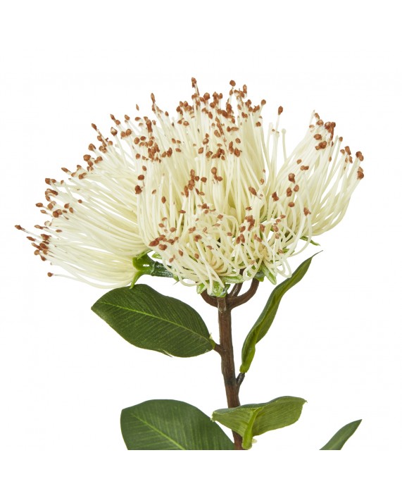 Dirbtinė gėlė "Protea Nitida" Dirbtinė gėlė "Protea Nitida"