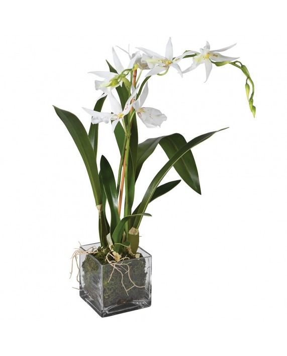 Dirbtinė gėlė "Spider Orchid"