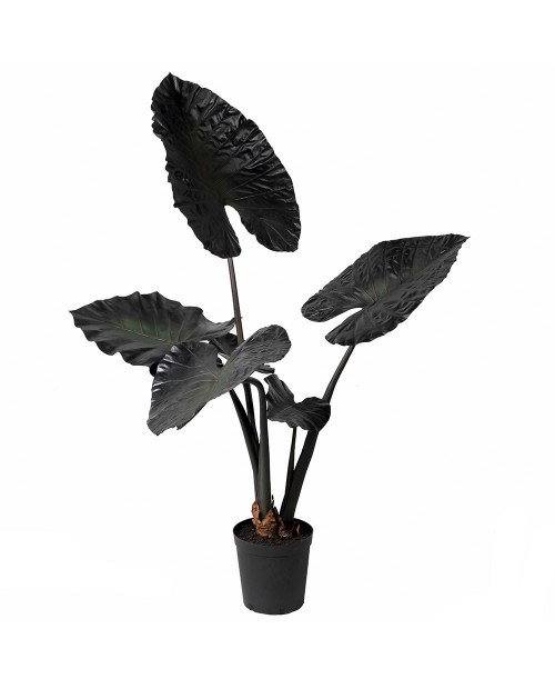 Dirbtinis augalas "Dark Burgundy Alocasia"