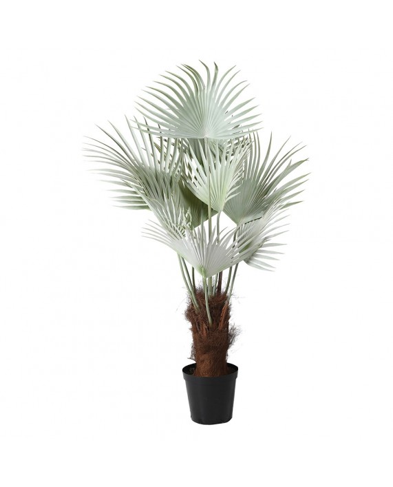 Dirbtinė palmė "Mexican" Dirbtinė palmė "Mexican"