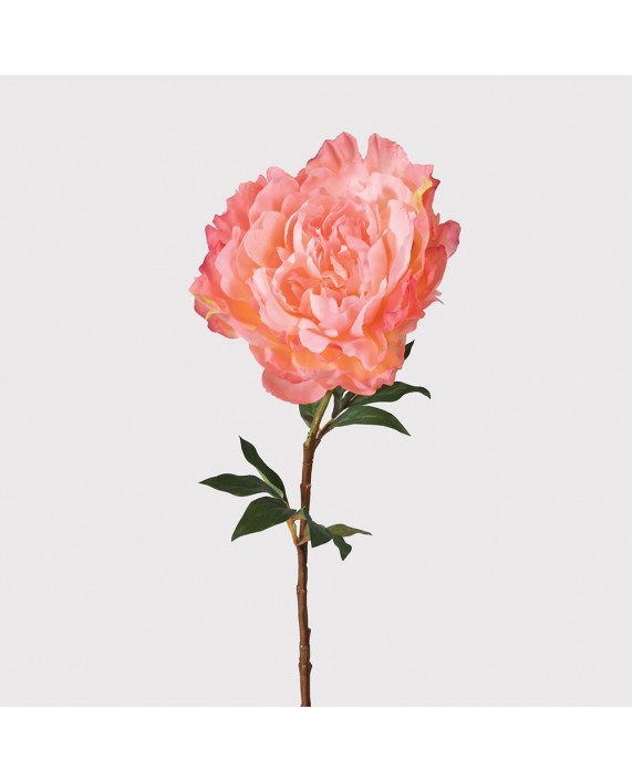 Dirbtinė gėlė "Peony Coral"
