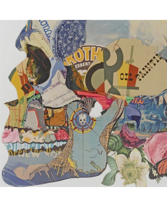 Paveikslas "Collage Vanitas Skull"