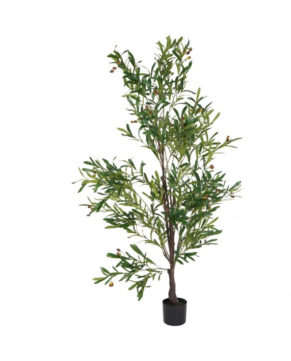Dirbtinis alyvmedis "Mediterranean"