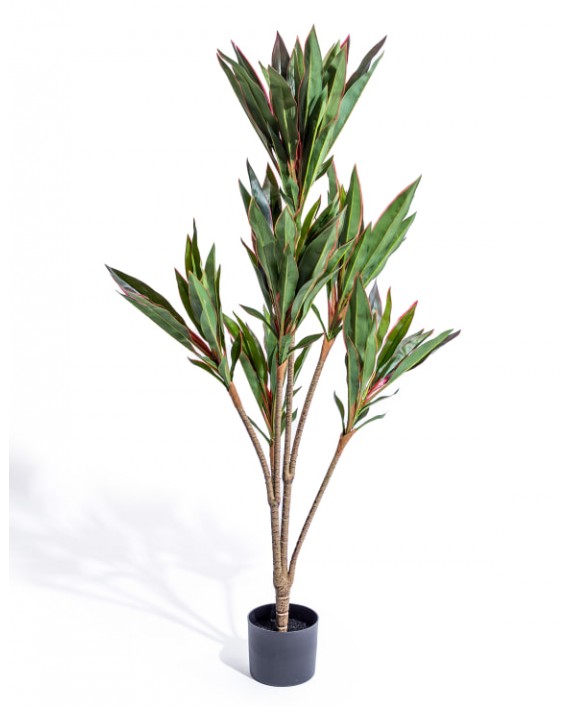 Dirbtinis augalas "Red-Edged Dracaena"