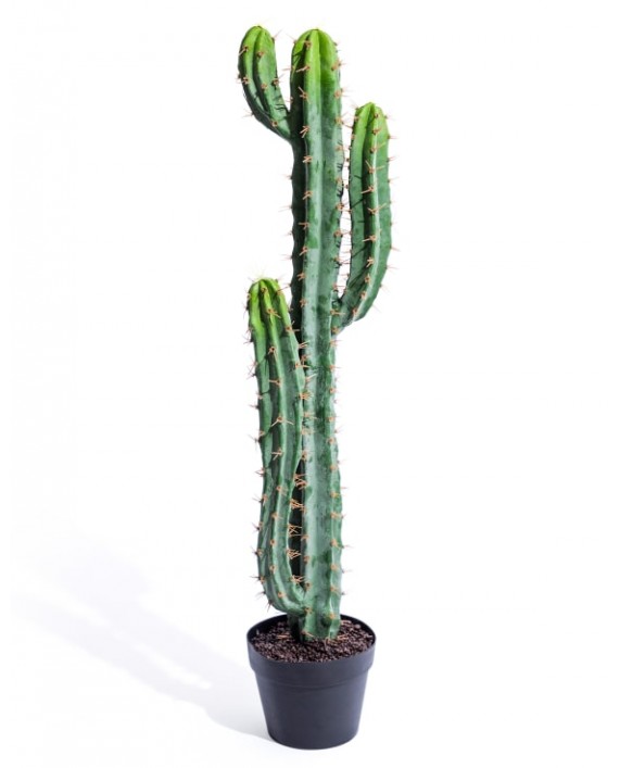 Dirbtinis kaktusas "Cactus Classic"