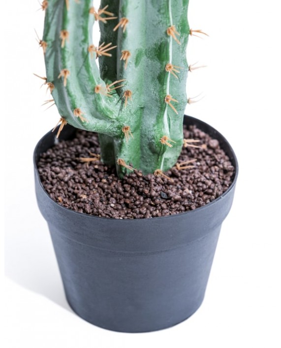 Dirbtinis kaktusas "Cactus Classic"