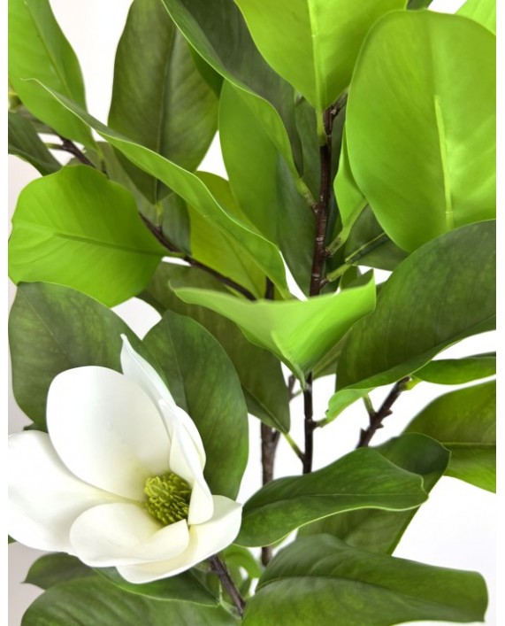 Dirbtinis magnolijos medelis vazone Dirbtinis magnolijos medelis vazone
