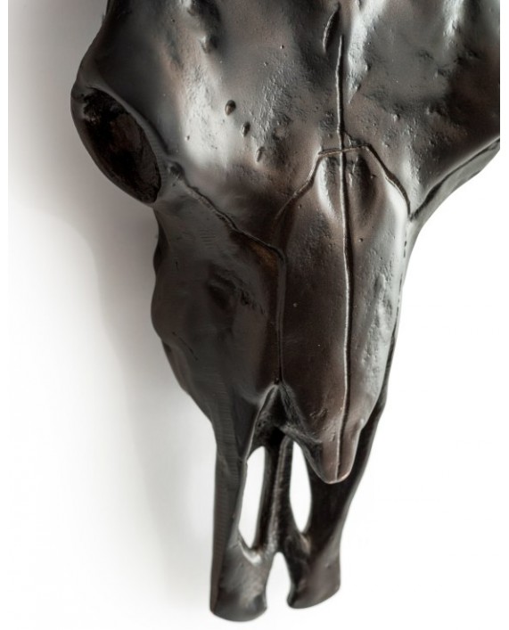 Sienos dekoracija "Bison skull bronze"