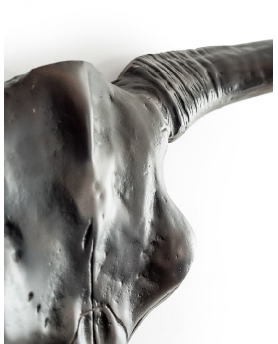 Sienos dekoracija "Bison skull bronze"