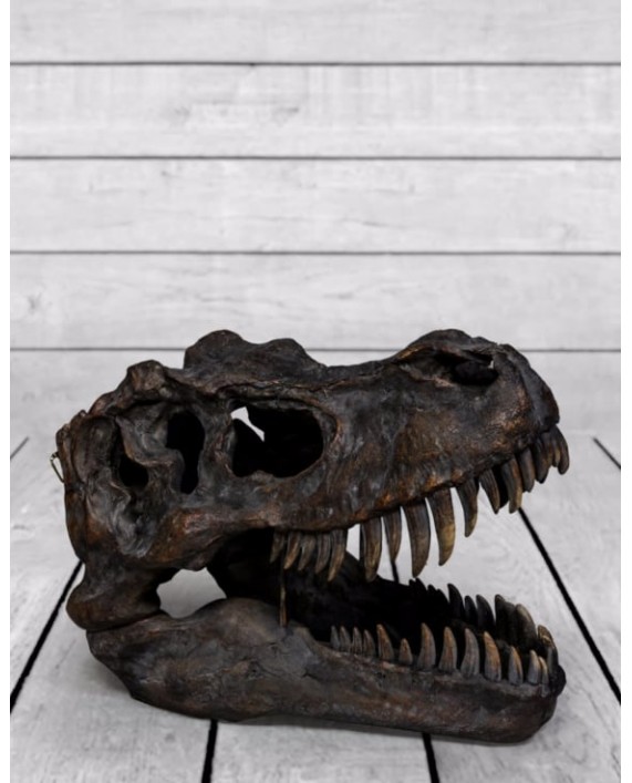 Interjero dekoracija "T-REX SKULL XL"