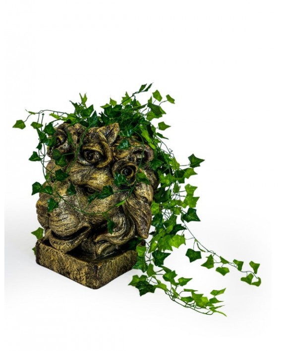 Vazonas "Gold Lion"