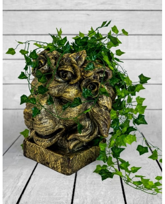 Vazonas "Gold Lion"