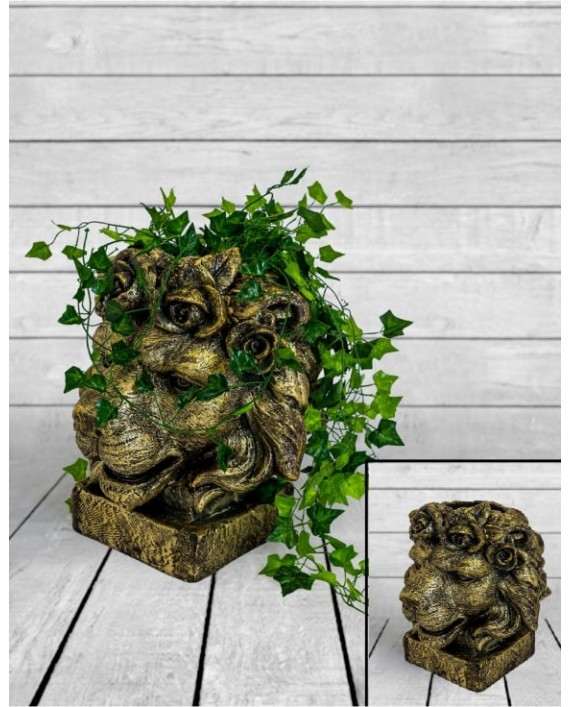 Vazonas "Gold Lion"