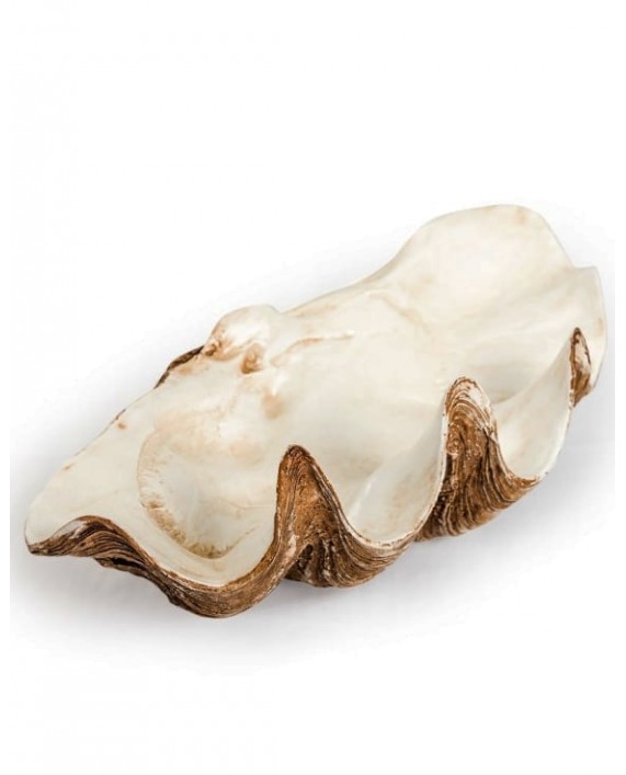Dekoracija "Clam Shell"