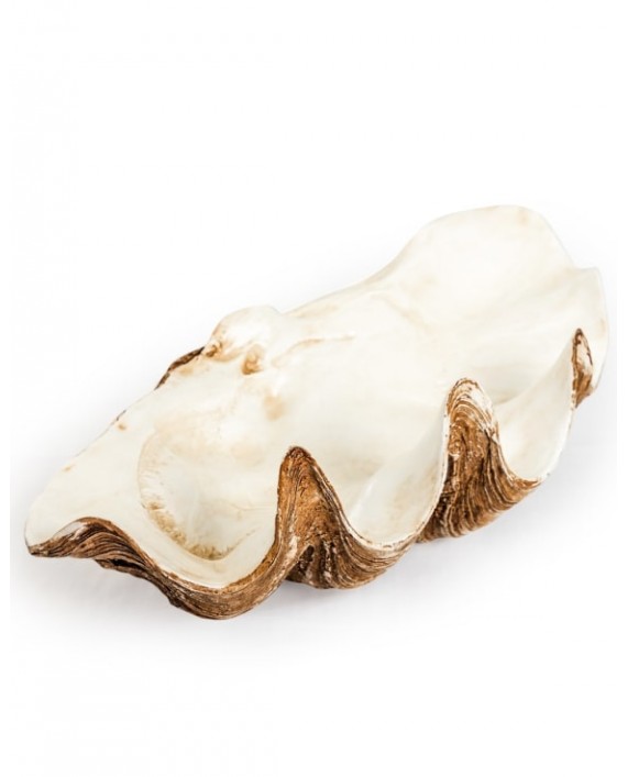 Dekoracija "Clam Shell"