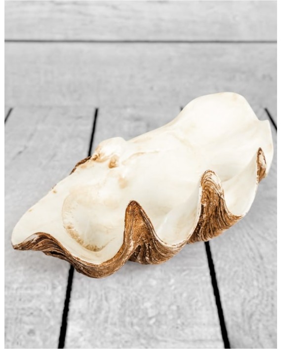 Dekoracija "Clam Shell"