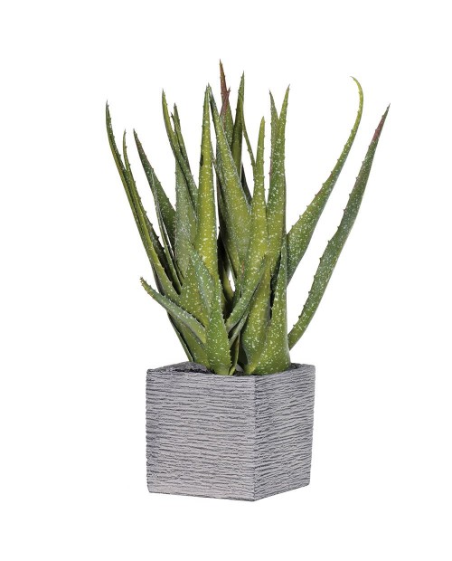 Dirbtinis augalas "Speckled Aloe"